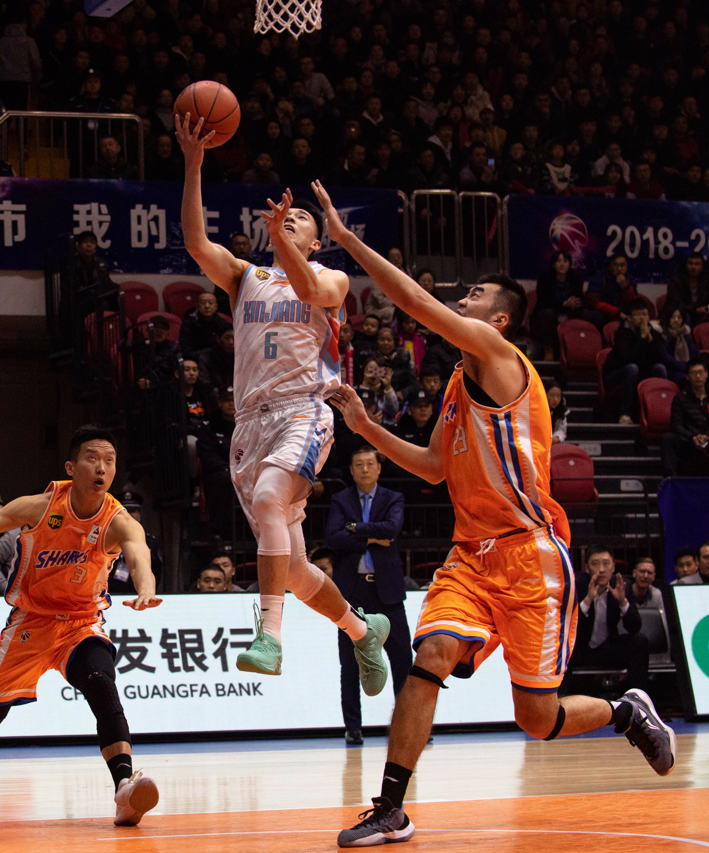 加坡队的骆 加坡队的骆