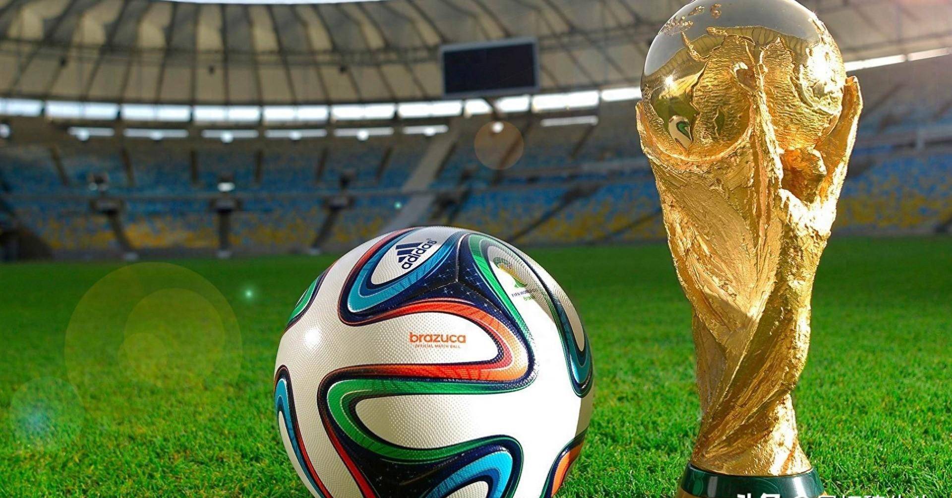 结合摄影与 结合摄影与